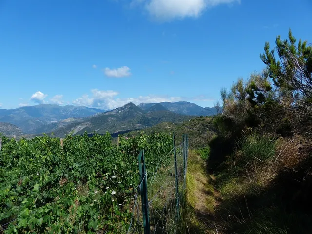 La Scuola di Chiappera - MTB